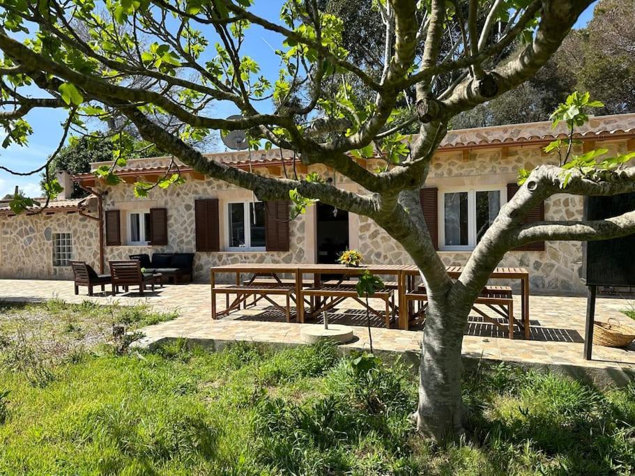 Villa Finca Roberto Can Picafort  Exterior foto