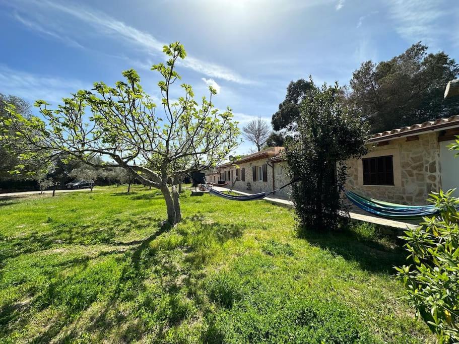Villa Finca Roberto Can Picafort  Exterior foto